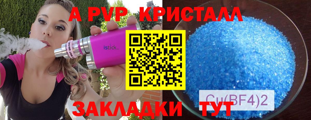 Alfa_PVP СК КРИС Малгобек