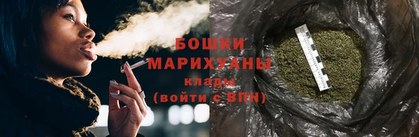 индика Лабытнанги