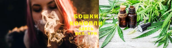 индика Кулебаки