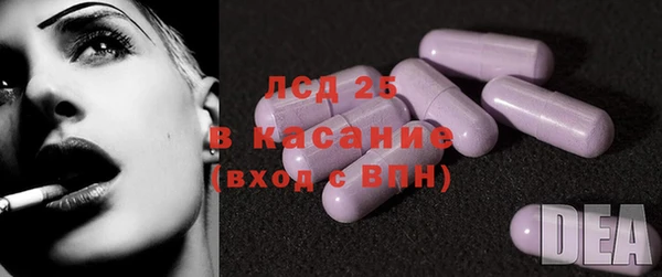 индика Лабытнанги