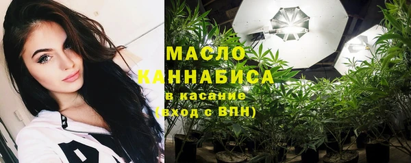 индика Лабытнанги