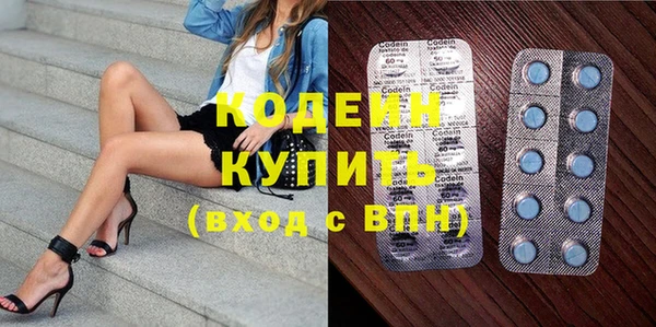 индика Лабытнанги