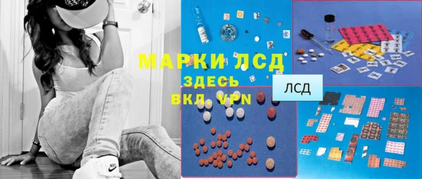 индика Лабытнанги