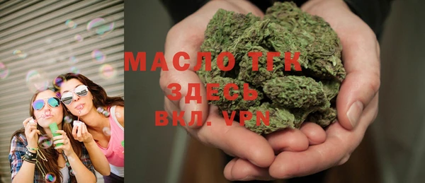 индика Лабытнанги