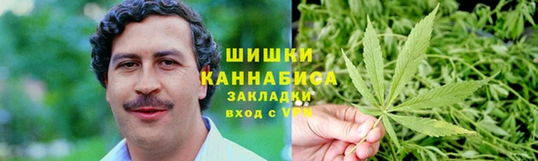 индика Лабытнанги