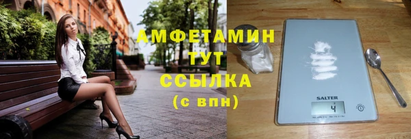 индика Кулебаки
