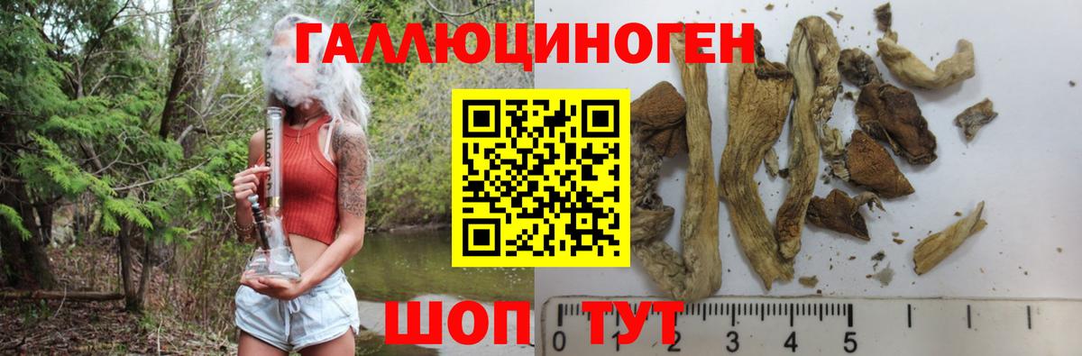 Галлюциногенные грибы мицелий  Вход с VPN  Малгобек 